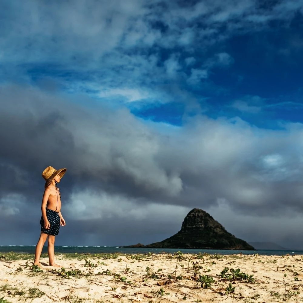 Bermies Kids Swim Trunk In Sharks 2 Bermies Kids Swim Trunk In Sharks - Image 2