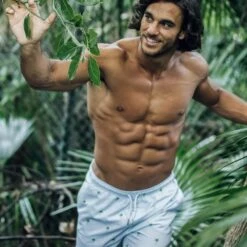 Bermies Mens Swim Trunk In Palm Stripes