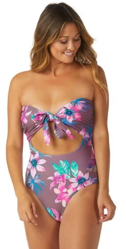 Raisins Puerto Vallarta One Piece Swimsuit 5 Raisins Puerto Vallarta One Piece Swimsuit -Southbeachswimsuits Shop 23A711488 GREY FRONT