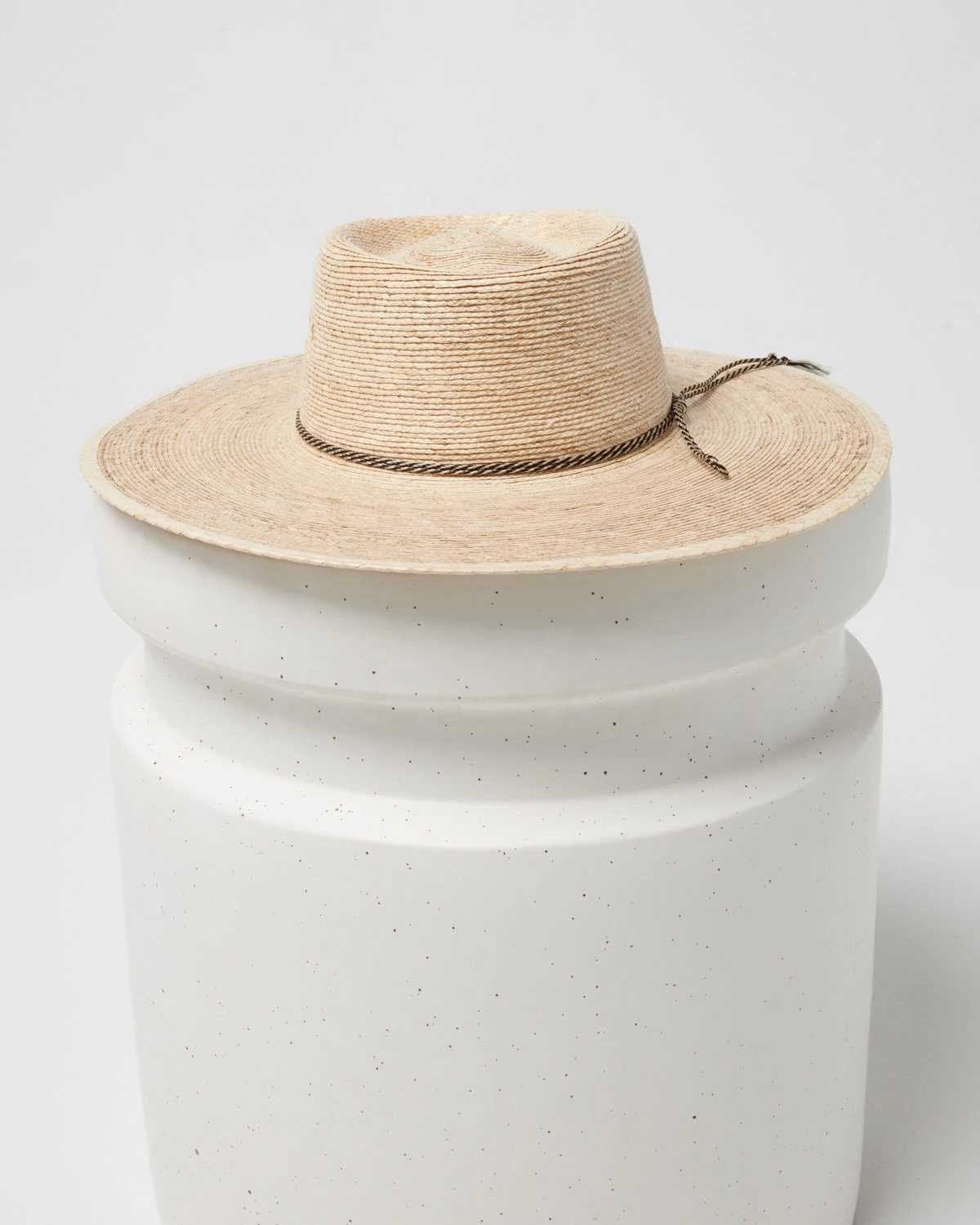 Wayne Hat 1 Wayne Hat