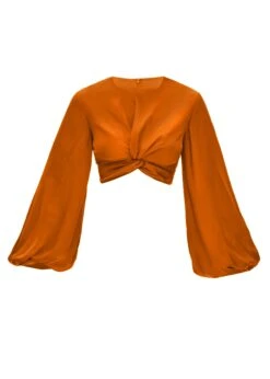 BEHATI RUST CROPPED TOP